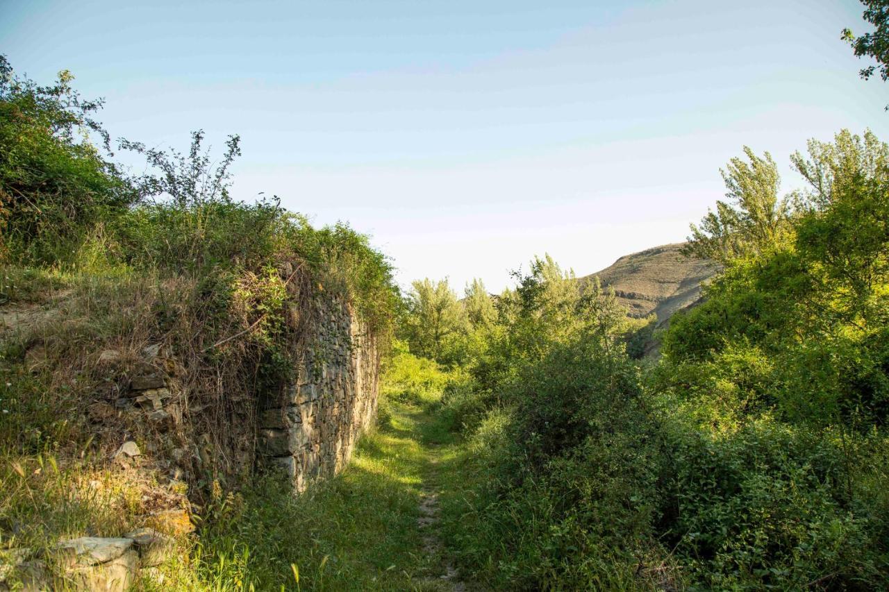 Casa Rural El Huerto De La Fragua Konuk evi Enciso Dış mekan fotoğraf