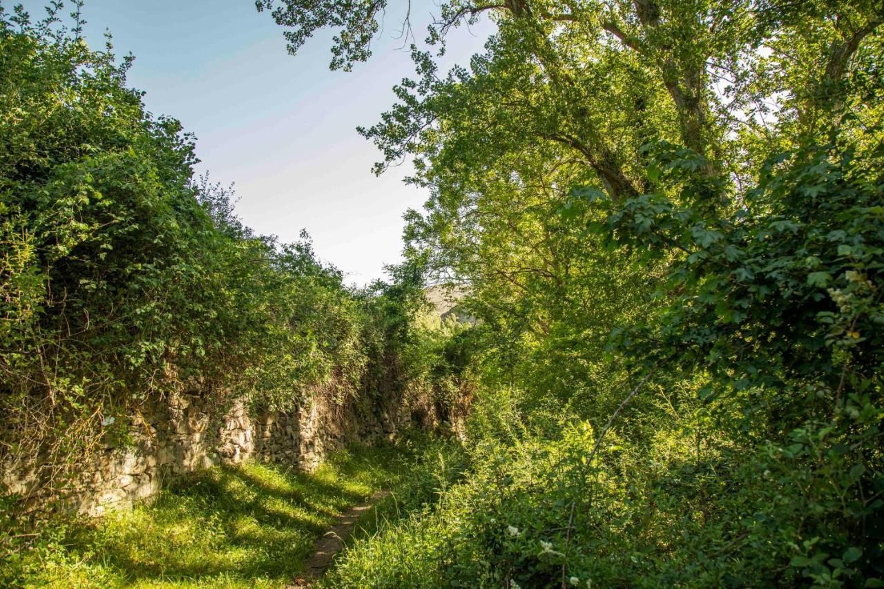 Casa Rural El Huerto De La Fragua Konuk evi Enciso Dış mekan fotoğraf