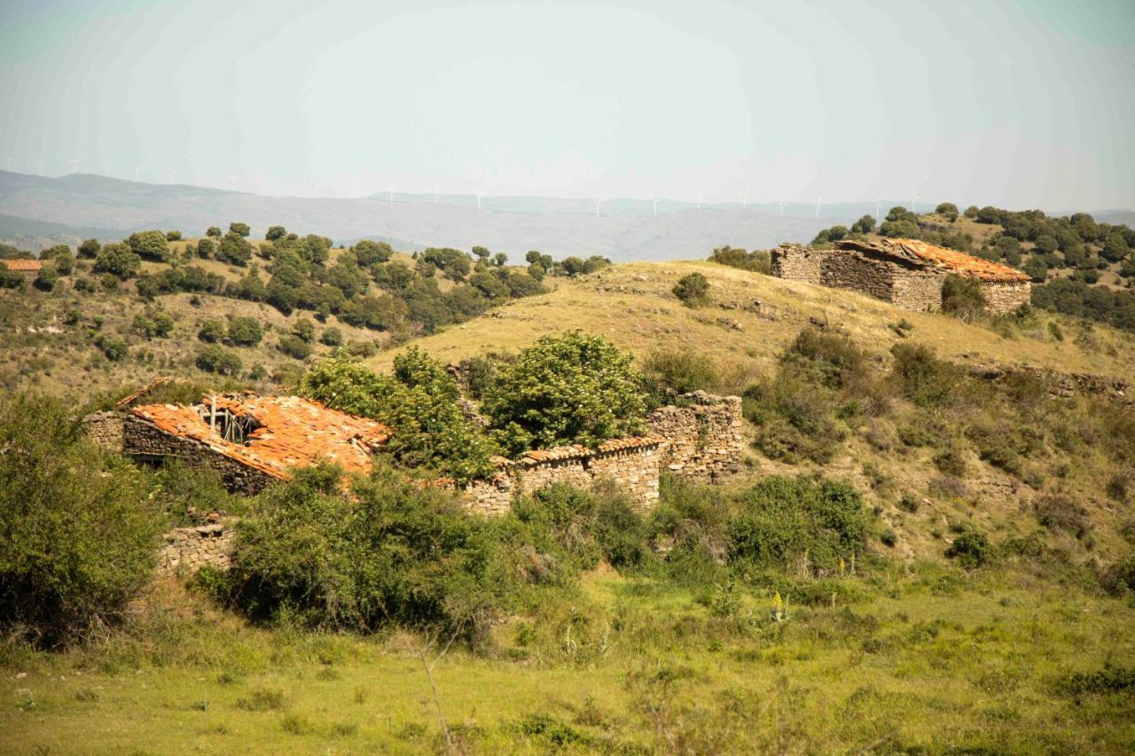 Casa Rural El Huerto De La Fragua Konuk evi Enciso Dış mekan fotoğraf