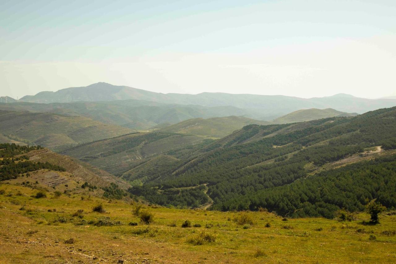 Casa Rural El Huerto De La Fragua Konuk evi Enciso Dış mekan fotoğraf