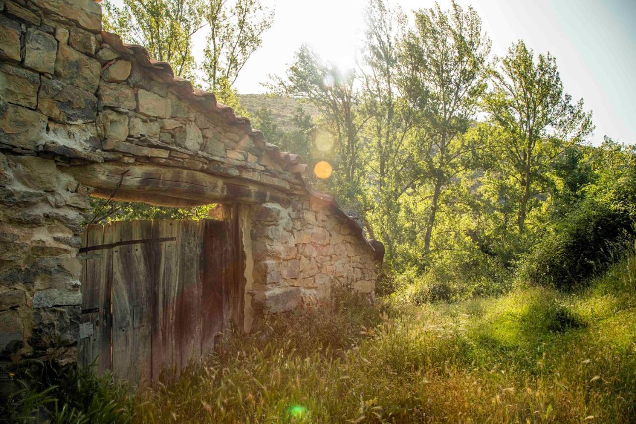 Casa Rural El Huerto De La Fragua Konuk evi Enciso Dış mekan fotoğraf