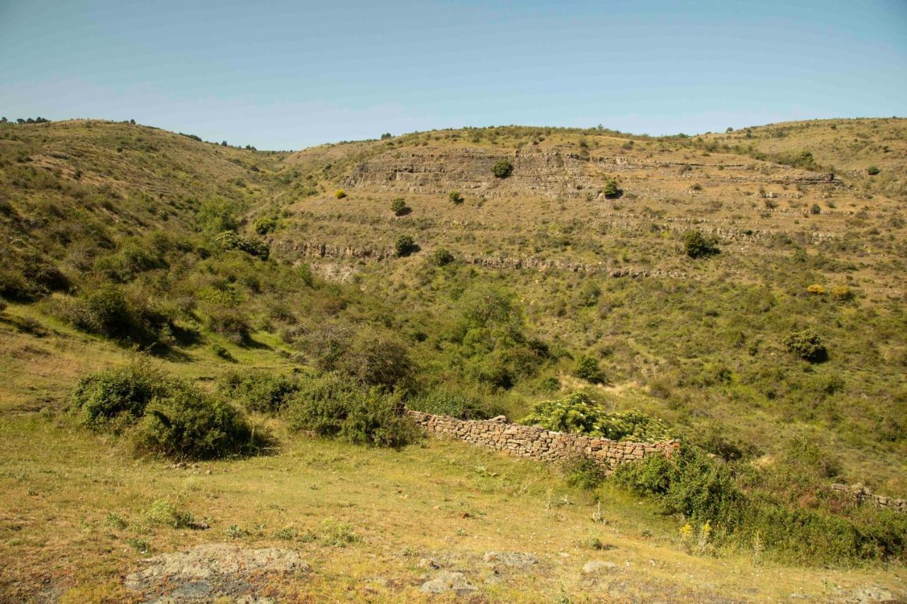 Casa Rural El Huerto De La Fragua Konuk evi Enciso Dış mekan fotoğraf