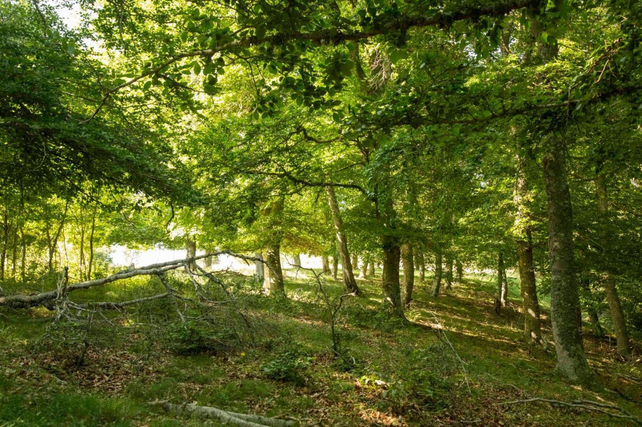 Casa Rural El Huerto De La Fragua Konuk evi Enciso Dış mekan fotoğraf